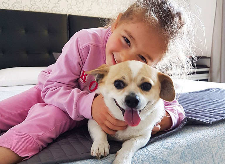 media.Gallery_Pet_2Hotel_La_Nidiola_Riccione